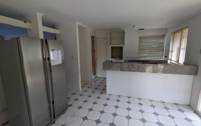 How to Handle Pests During a Home Renovation